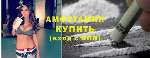 шишки Арсеньев