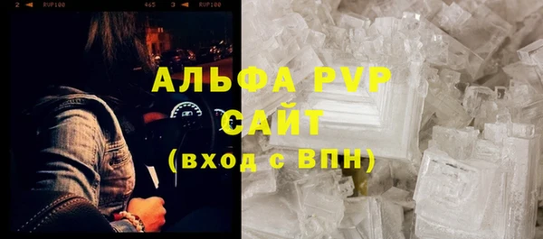 шишки Арсеньев