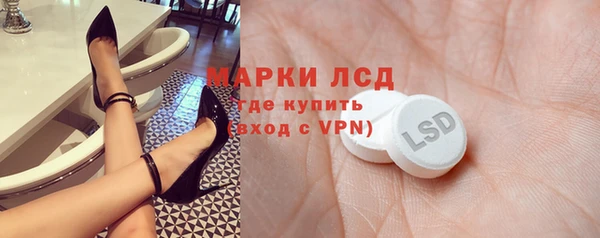 шишки Арсеньев