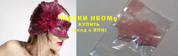 шишки Арсеньев