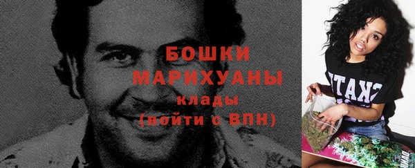 шишки Арсеньев