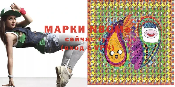 шишки Арсеньев