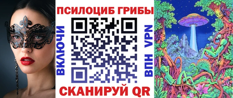 Галлюциногенные грибы Psilocybine cubensis Новочеркасск