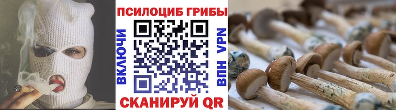 Псилоцибиновые грибы Magic Shrooms Новочеркасск