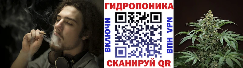 Канабис ГИДРОПОН  купить наркотики сайты  Новочеркасск 